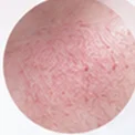 Close-up kulit: Barrier & Sensitive Body Care