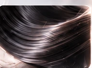 Hair Care