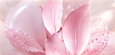 Intimate Care